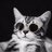 Anatoliy_Crotov